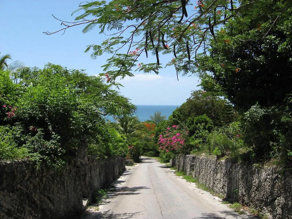 Hotel apartamentowy Buttonwood Reserve Condominiums Eleuthera